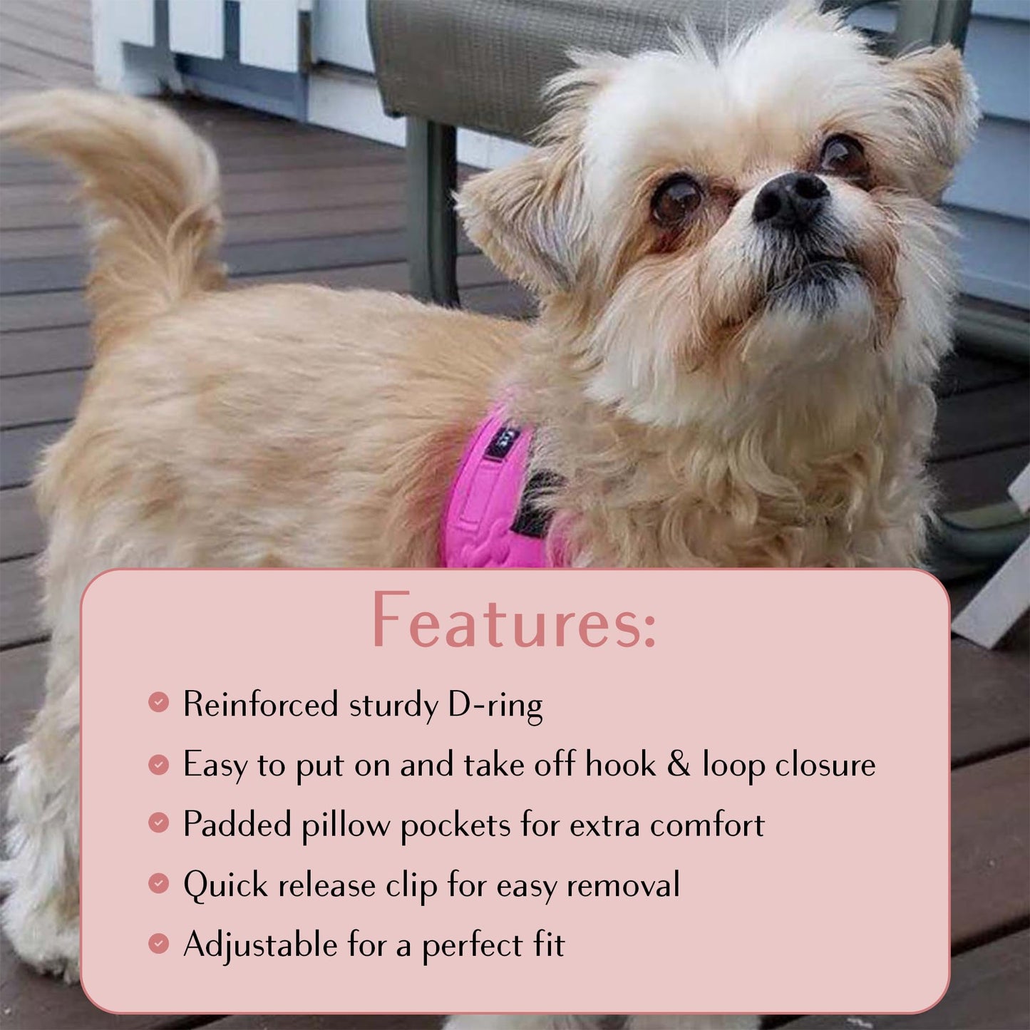 No Pull Dog Harness for Small, Medium Large Dogs Soft Padded Leash