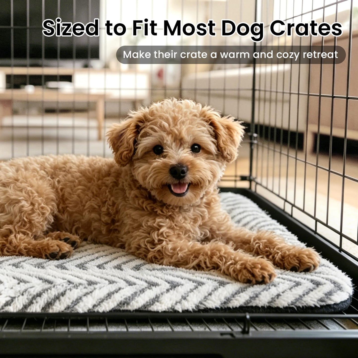 Mora Pets Cat Bed for Indoor Cats Small Dogs Washable Cat Mat Crate