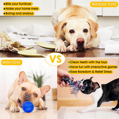 Aipper Dog Toys 25 Pack for Fun and Teeth Cleaning, Puppy Chew Toys
