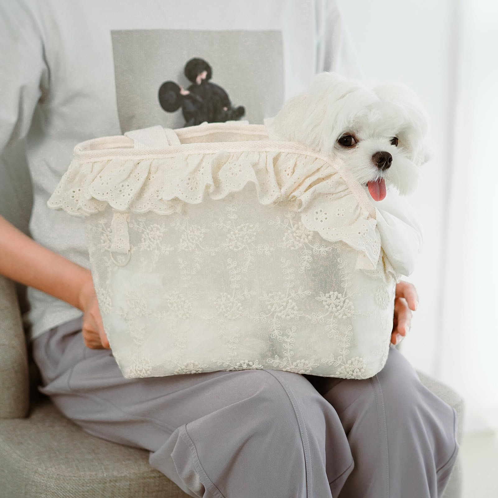 ONECUTE Dog Carrier for Small Dogs Rabbit cat with Lace Design, Bag