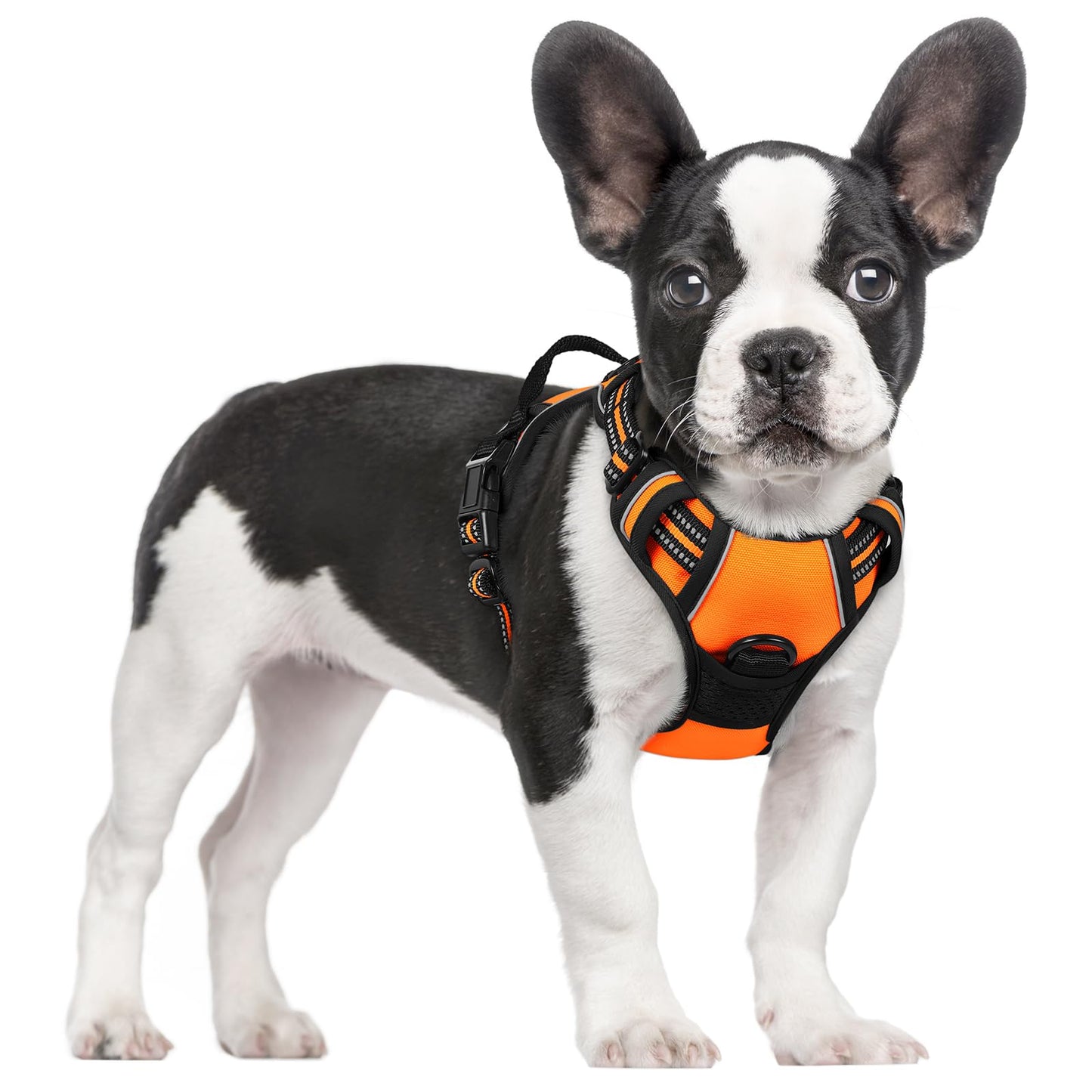 rabbitgoo Dog Harness No Pull with 2 Leash Clips, Adjustable Leash