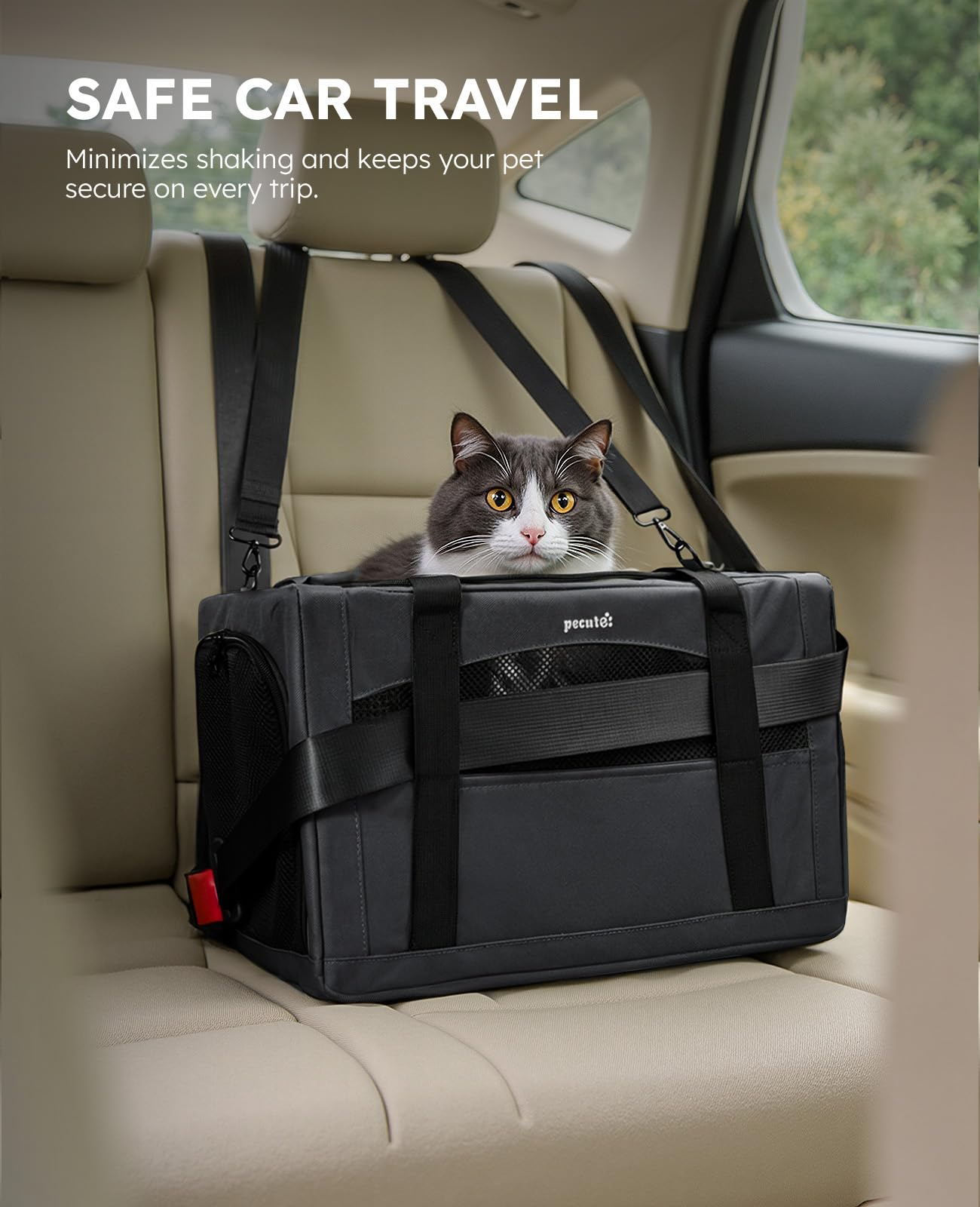 Pecute Cat Carrier Stable XL, Pet Carrier Breathable and Portable, Bag