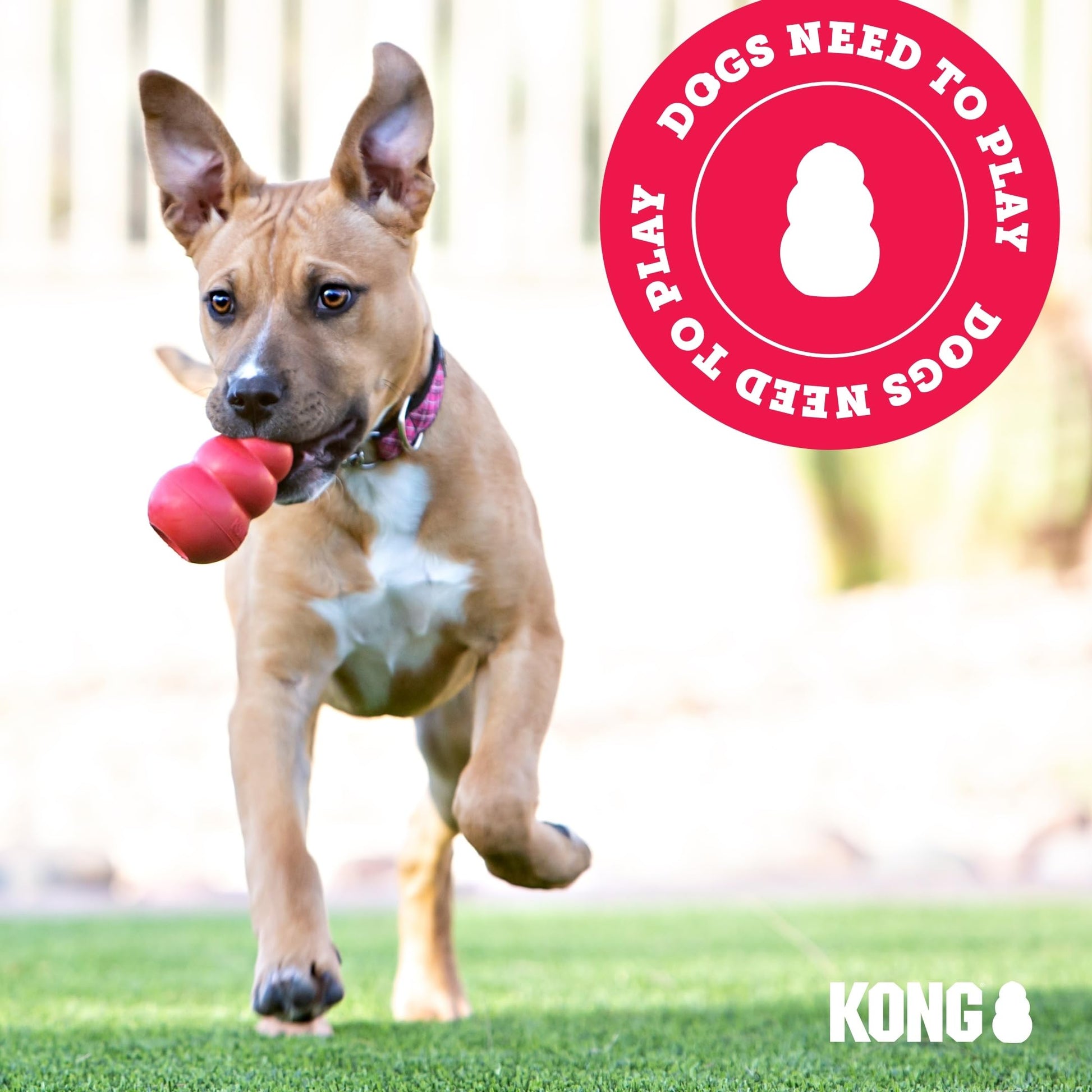 KONG Cozie Rosie Rhino Indoor Cuddle Squeaky Plush Dog Toy