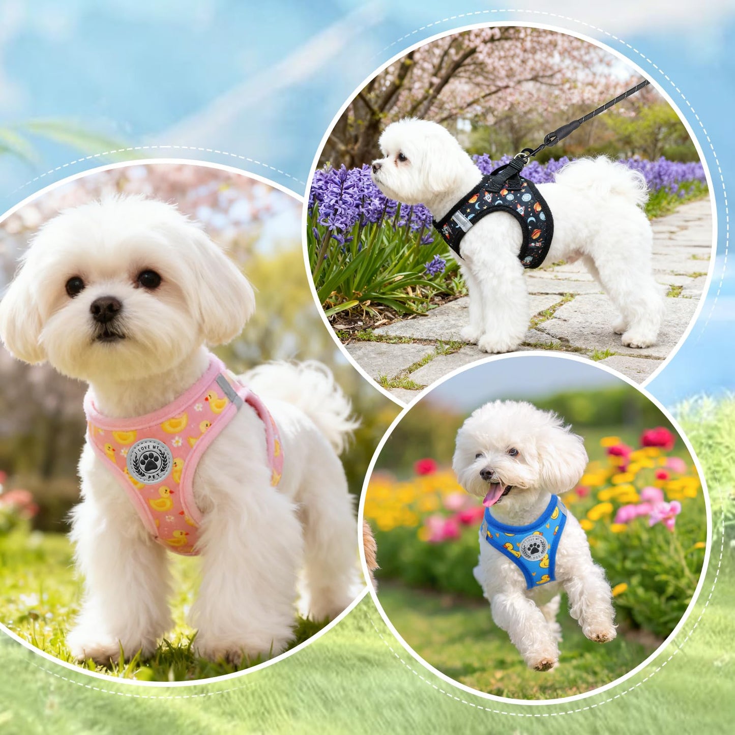 BEAUTYZOO Dog Harness Small Sized and Leash Set, Step-in Soft Set
