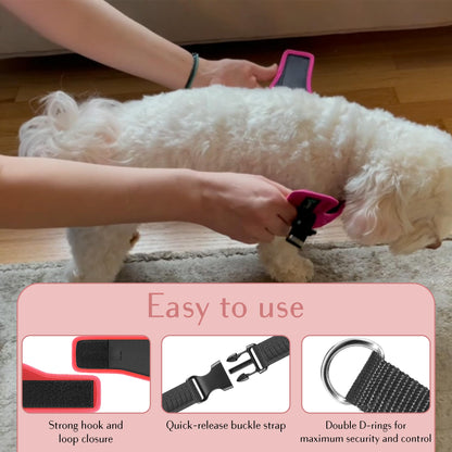 No Pull Dog Harness for Small, Medium Large Dogs Soft Padded Leash