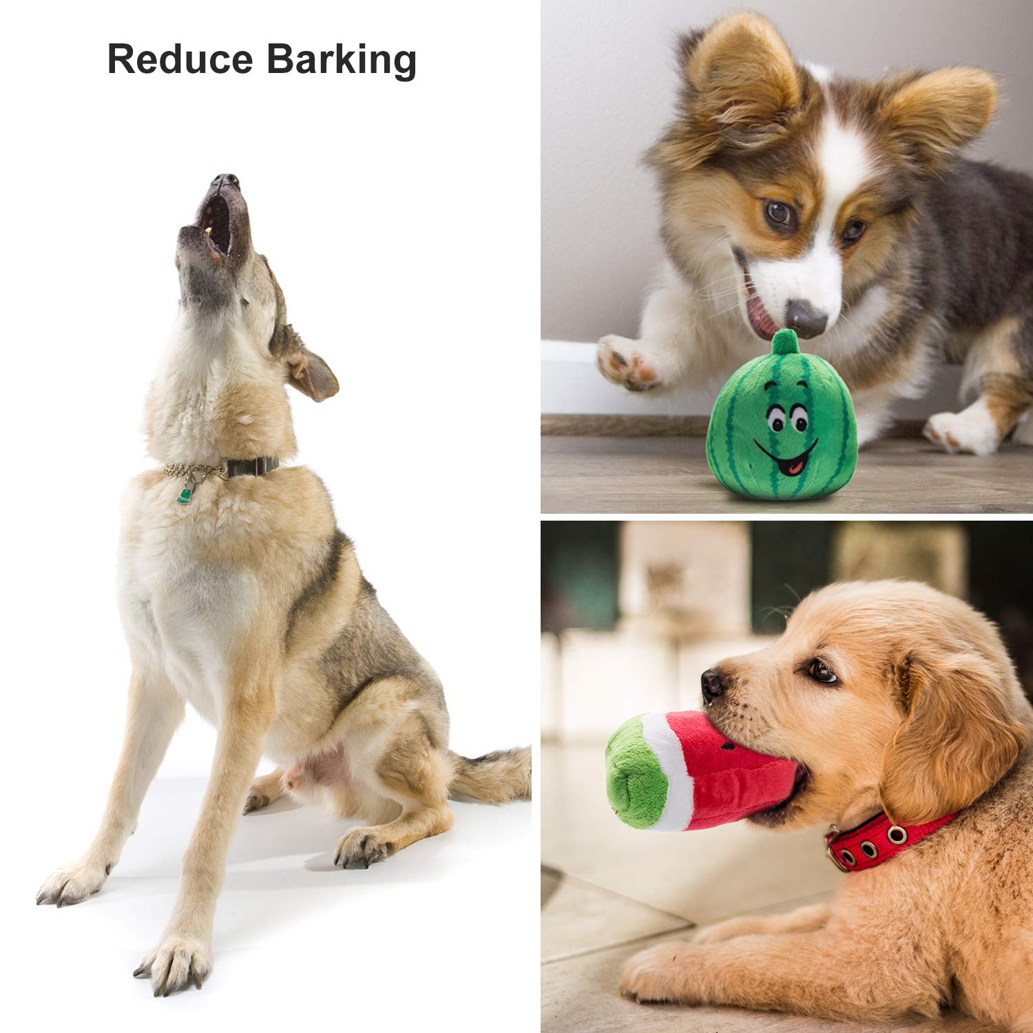 Nocciola Dog Squeaky Toys, Plush Small Dog Toys for Dogs, Plush