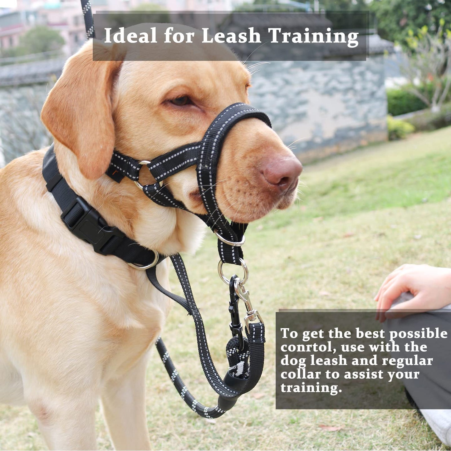 BARKLESS Dog Head Collar, No Pull Head Halter with Soft Padding Collar