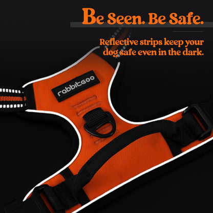 rabbitgoo Dog Harness No Pull with 2 Leash Clips, Adjustable Leash