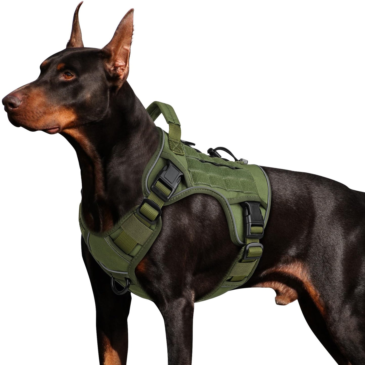 WINGOIN Tactical Dog Harness for Large Dogs, Heavy Duty No Harness