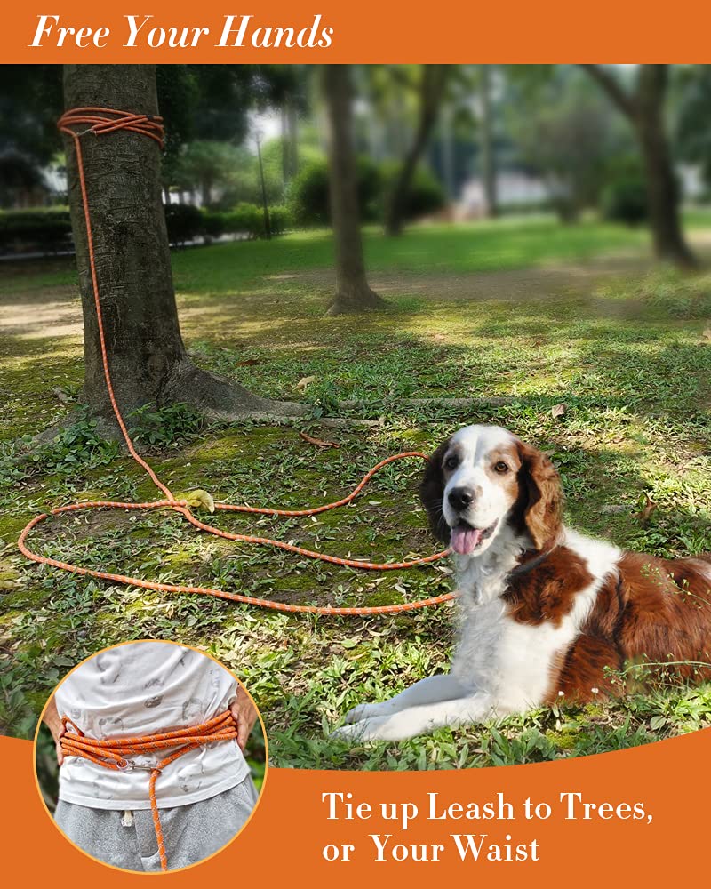 Extra Long Dog Leash for Dog Training, Reflective Threads Check Lead