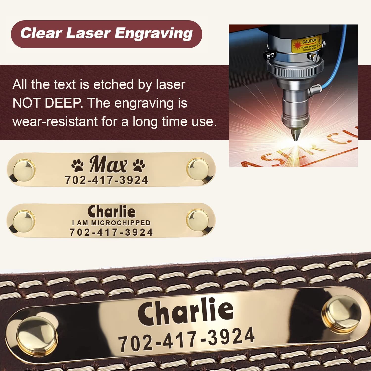 Personalized Custom Leather Dog Collar with Engravable Collar