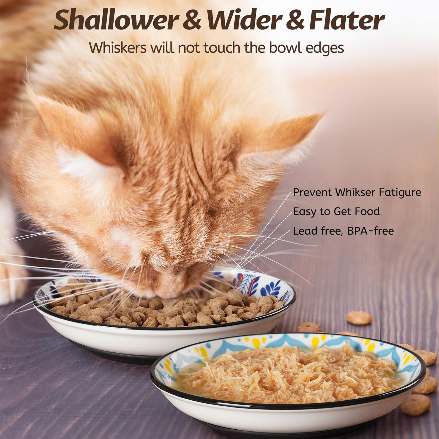 WROSWT Non-Slip Cat Bowl,Ceramic Cat Food Bowls with Silicone Set