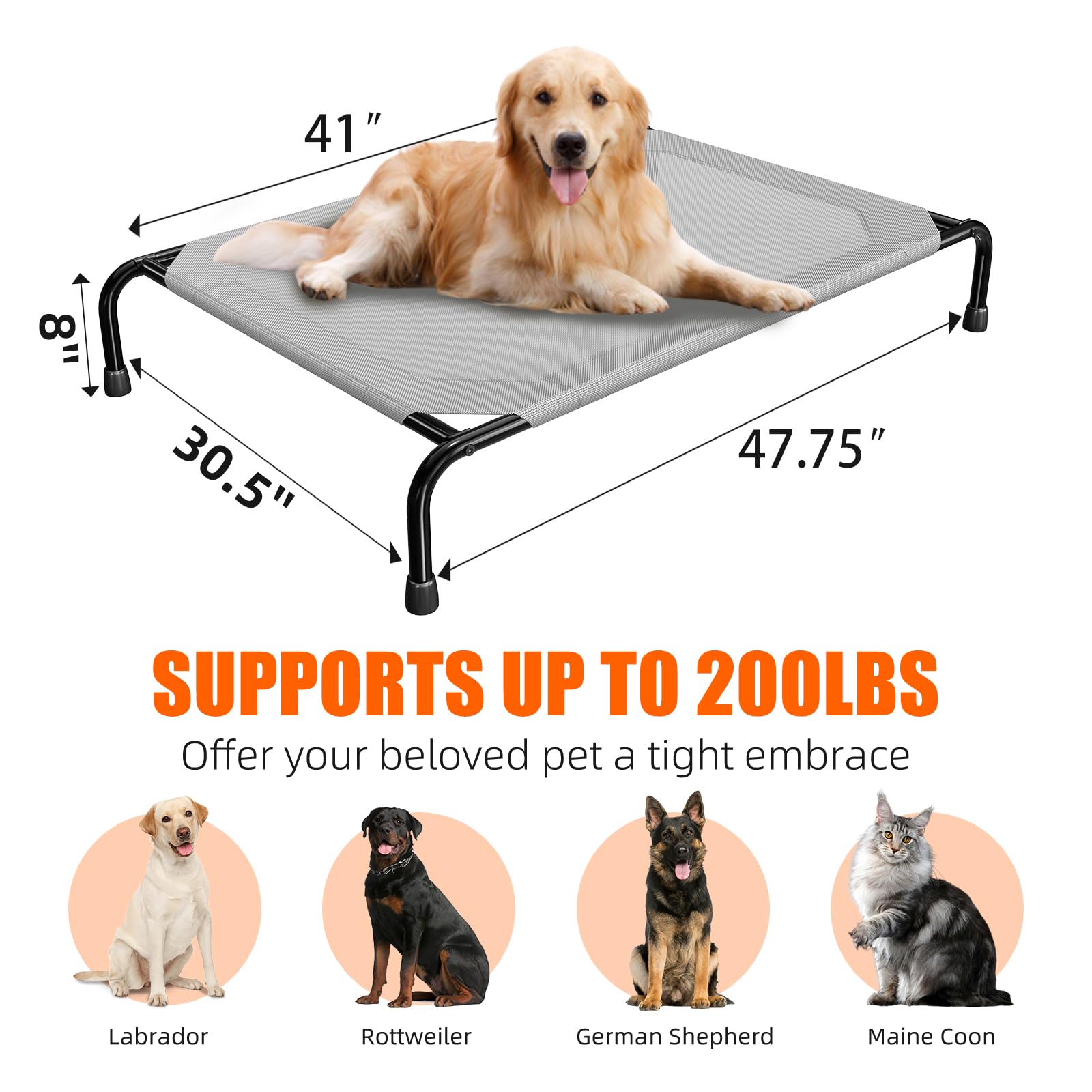 Simple Trending Raised Dog Bed for Large Dogs, Waterproof XL Dog Bed