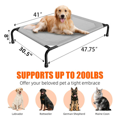 Simple Trending Raised Dog Bed for Large Dogs, Waterproof XL Dog Bed