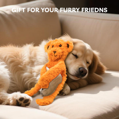 SHARLOVY No Stuffing Dog Toys 5 Pack, Crinkle Interactive Dogs Toy