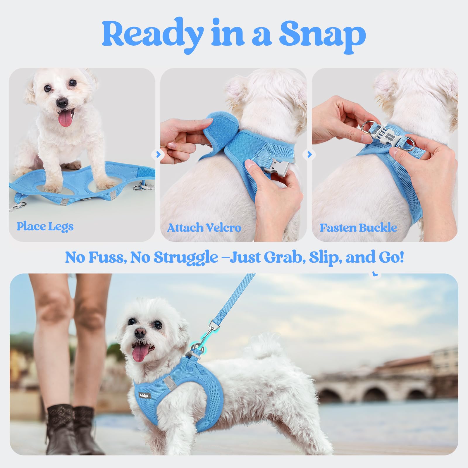 rabbitgoo Dog Harness Small Sized and Leash Set, Step in Soft Set