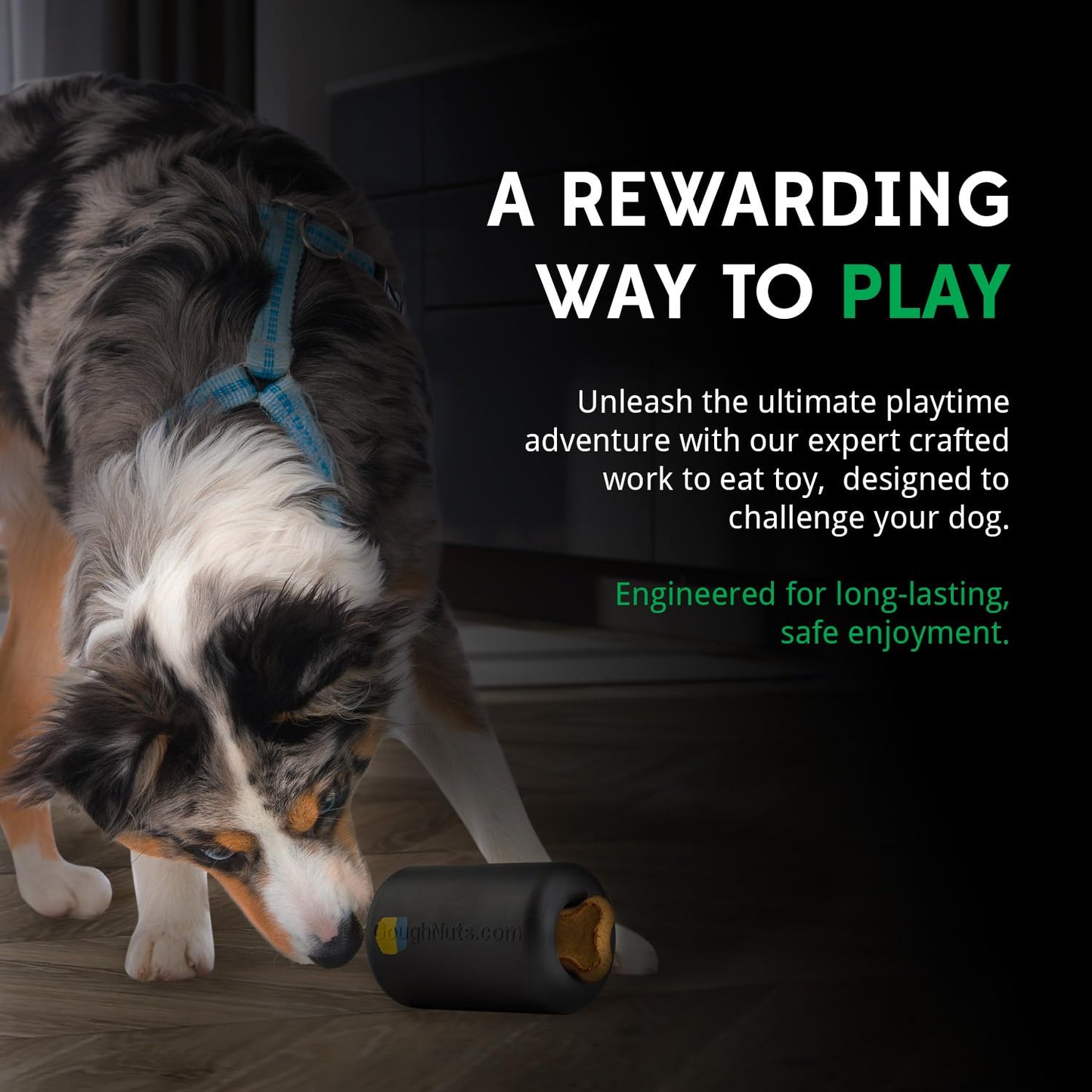 Goughnuts Work to Eat Dog Treat Toy Virtually Indestructible Feeder