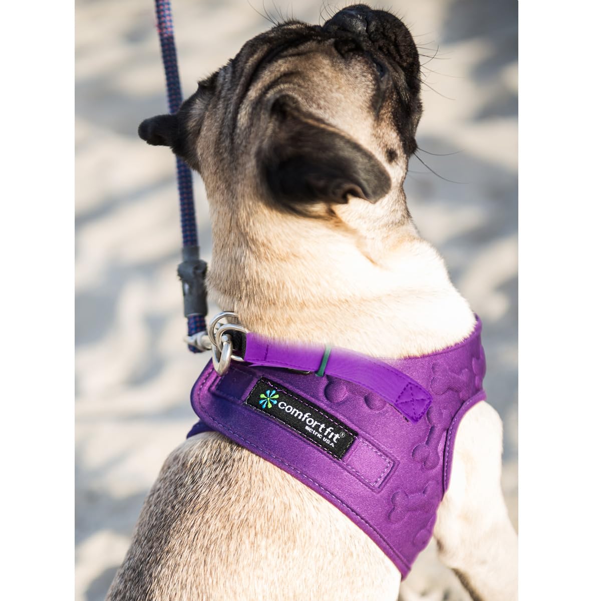 Comfort Fit Dog Harness Small Medium Sized Dogs Extra Comfort Harness