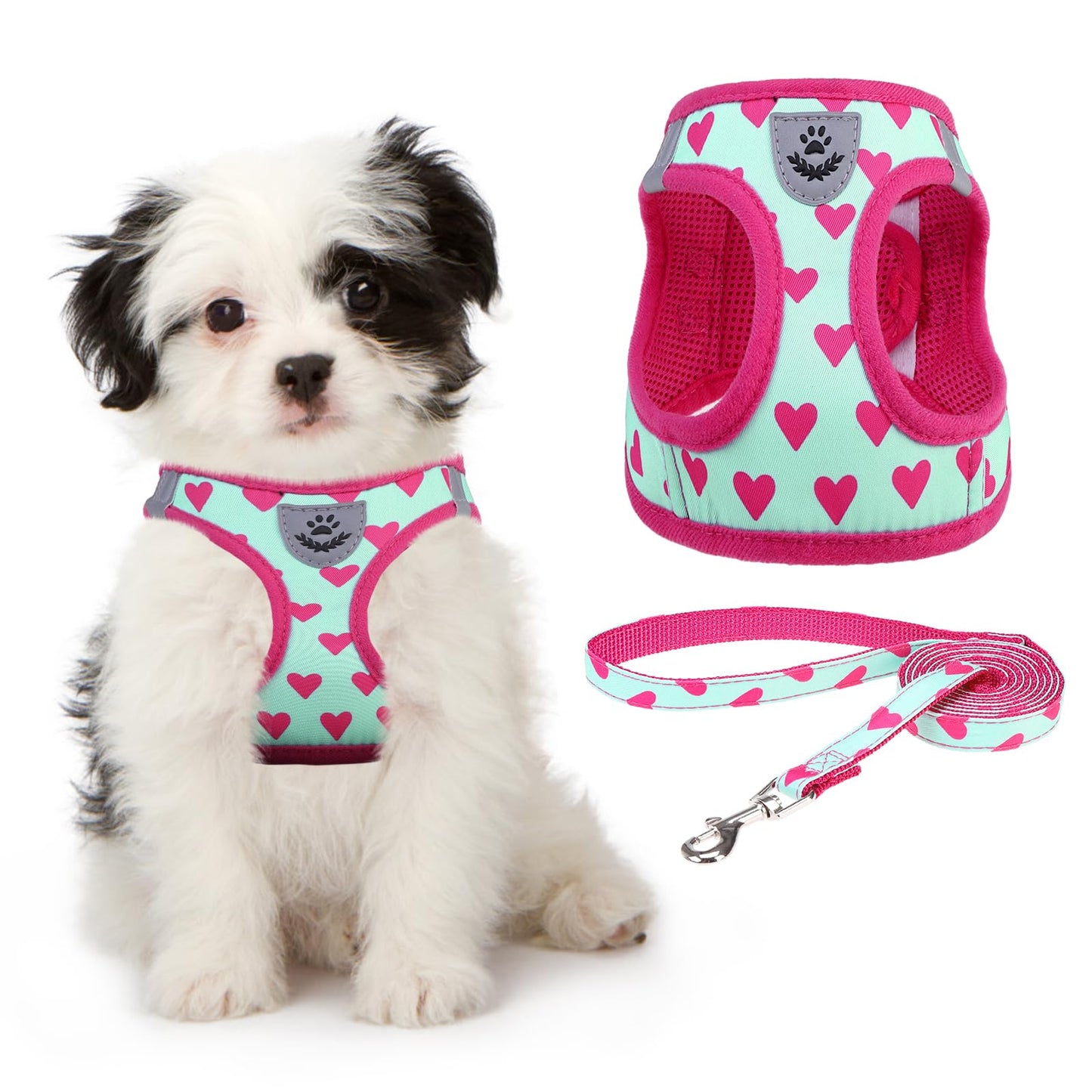 KOOLTAIL Valentines Dog Harness and Leash Set