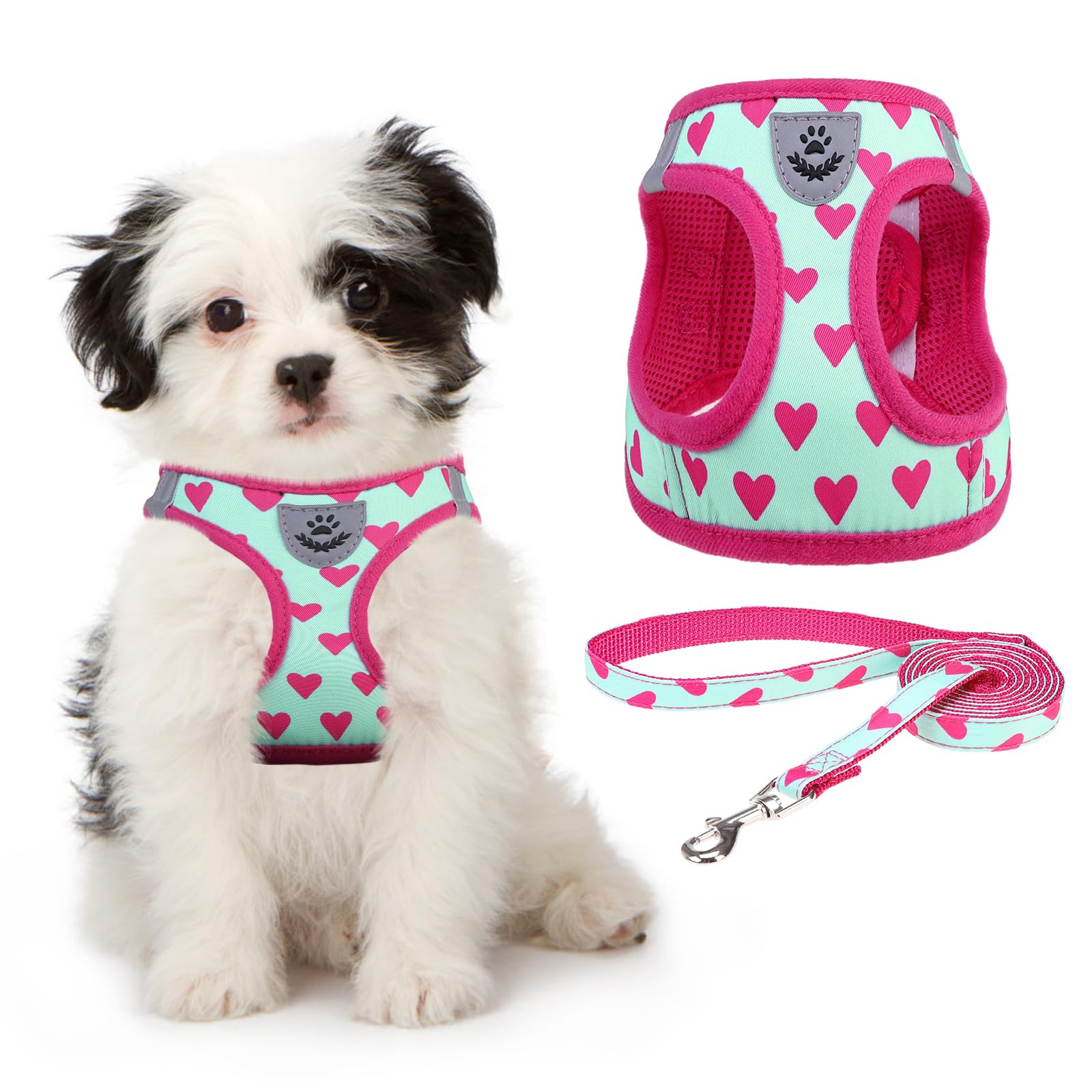 KOOLTAIL Valentines Dog Harness and Leash Set