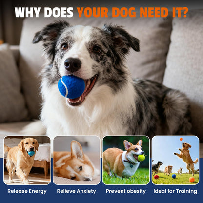FURWEY Tennis Balls for Dogs 16 Pack,Durable and Non-Toxic Dog Toys