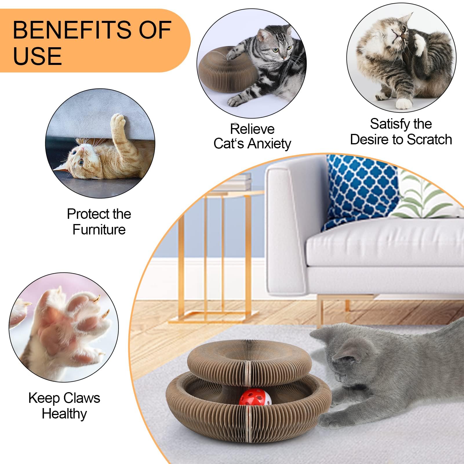 Magic Organ Cat Scratching Board, Interactive Scratch Pad with a Pad