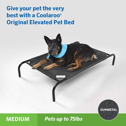 Coolaroo Original Elevated Dog Bed Breathable Off-The-Ground Pet Bed