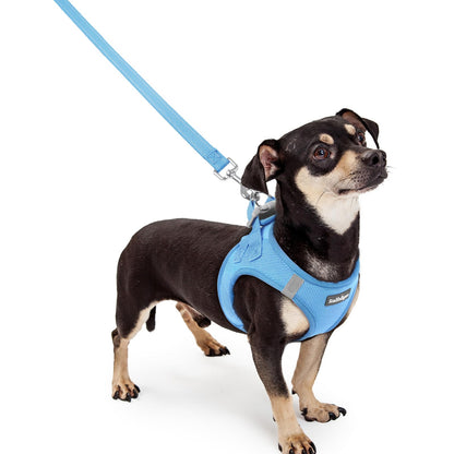 rabbitgoo Dog Harness Small Sized and Leash Set, Step in Soft Set