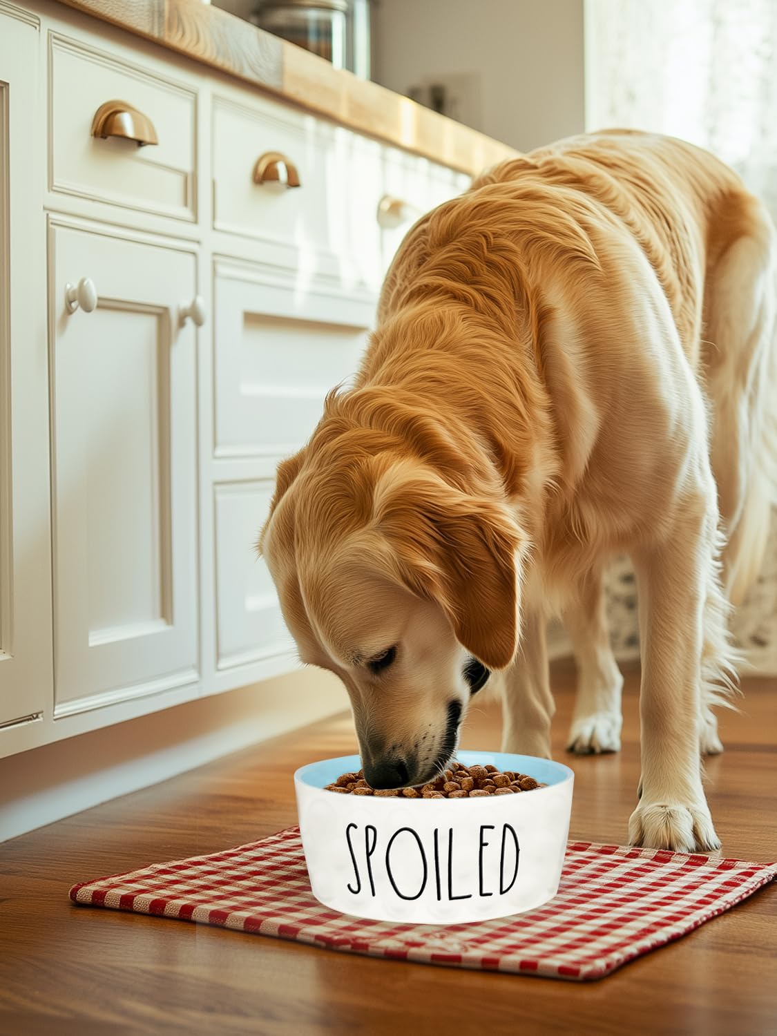 WoofinPets Ceramic Dog Bowl 8'' Extra Large Food Water Dog Bowl, Bowl