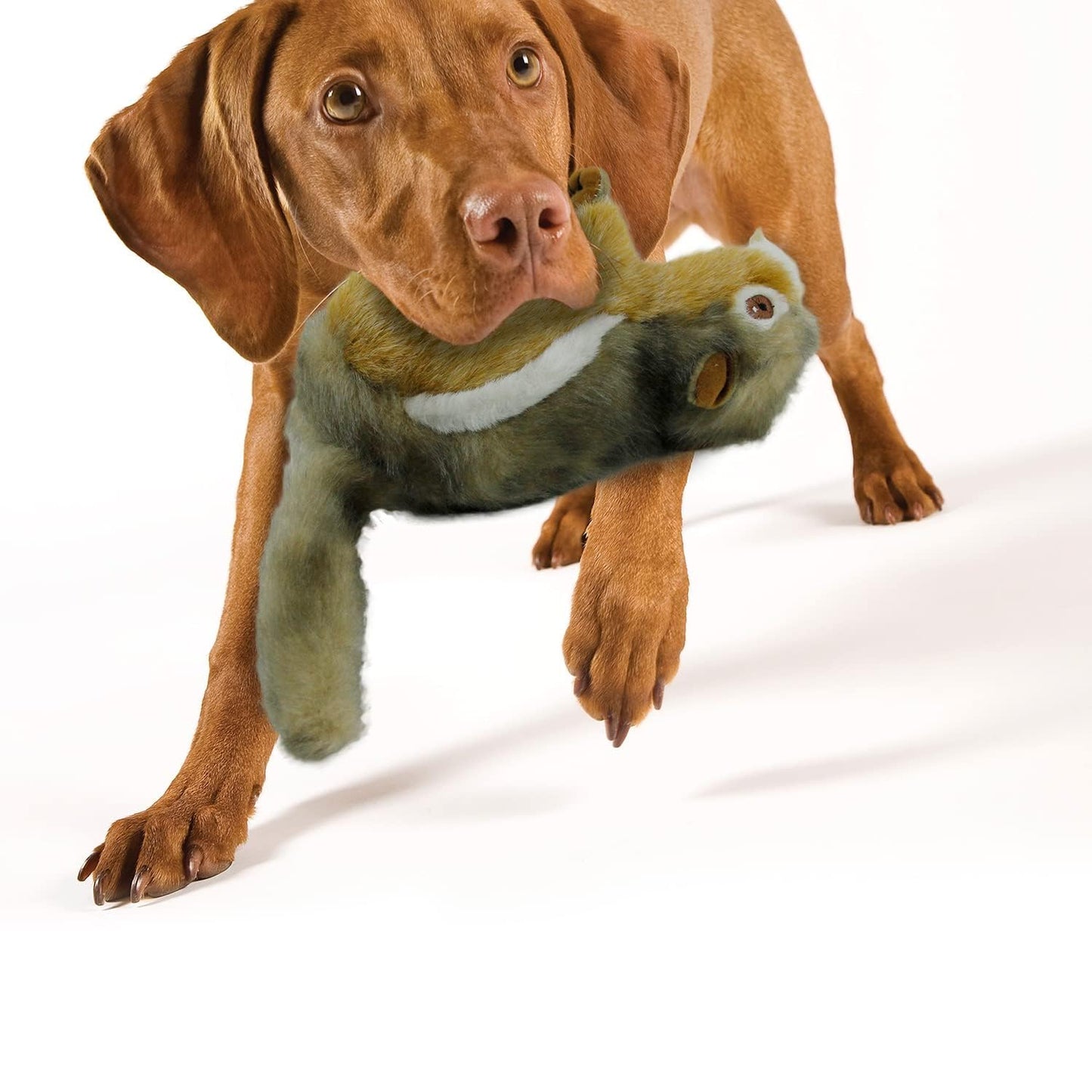 ALL FOR PAWS Dog Squeaky Toys Stuffed Animal Chipmunk Pet Plush Toys