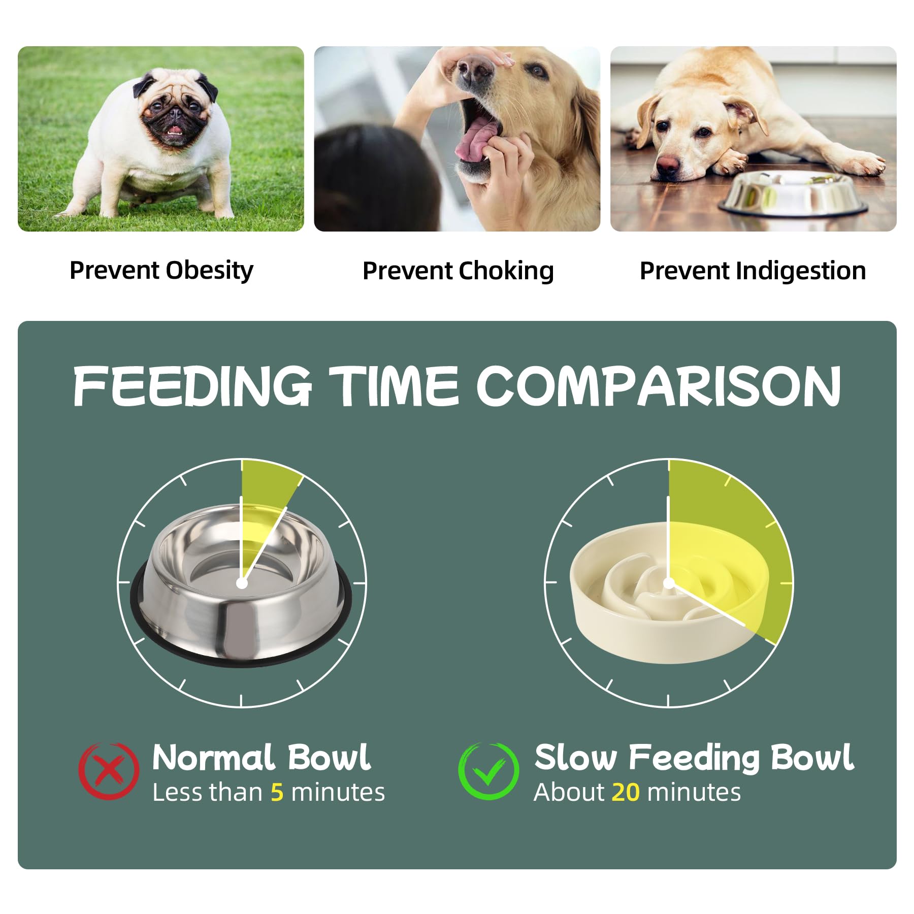 Havniva Ceramic 0.9 Cup Dog Bowl Slow Feeder for Small Dog, Pet Bowl