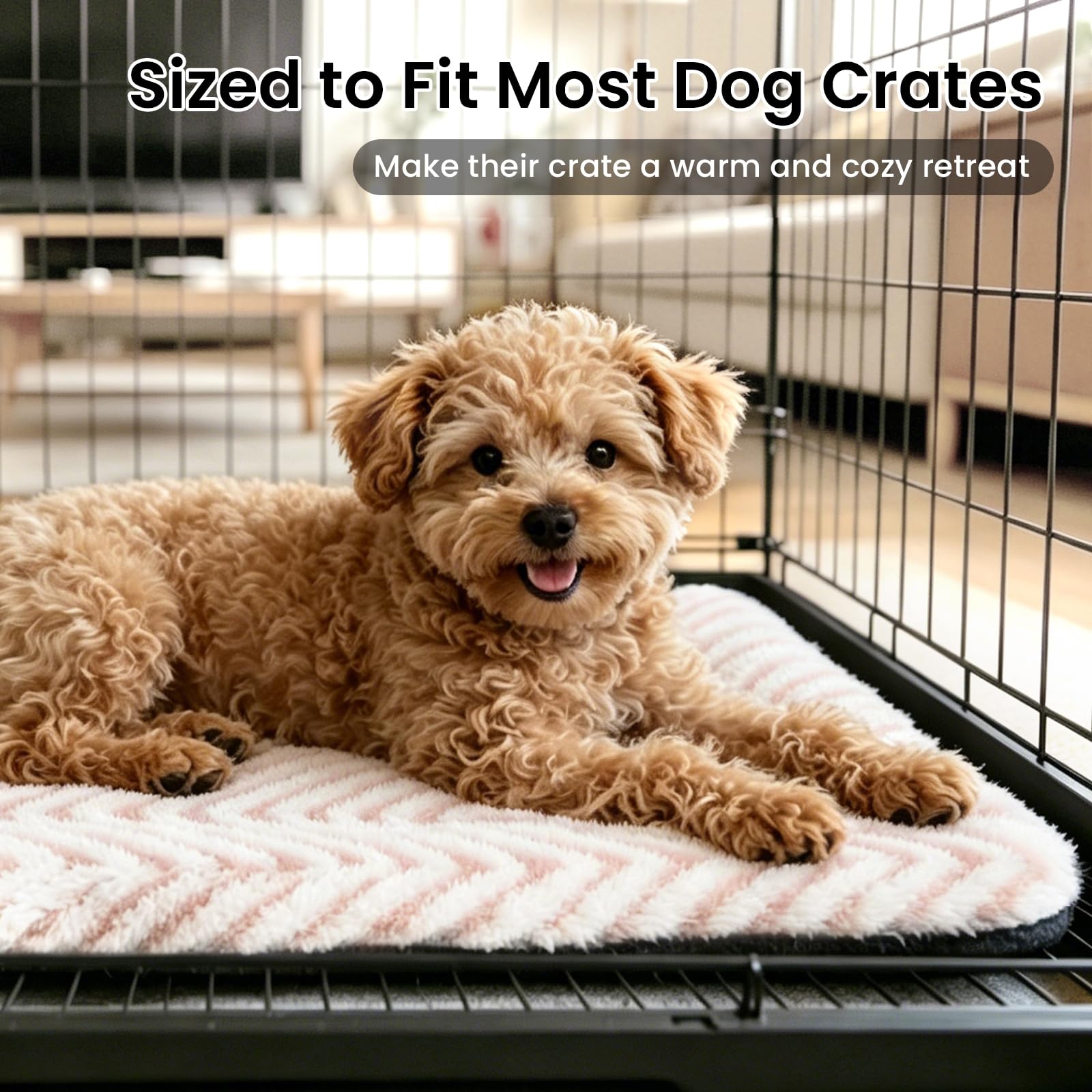 Mora Pets Cat Bed for Indoor Cats Small Dogs Washable Flat Cat Crate