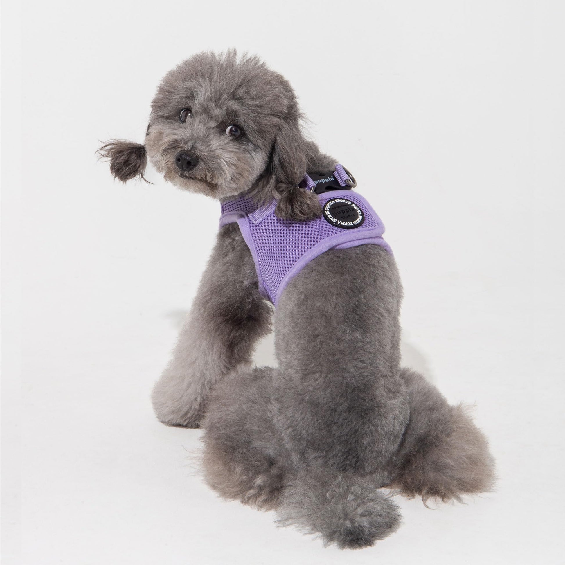 Puppia Soft Vest Dog Harness Step-in Padded Mesh No Choke No Harness