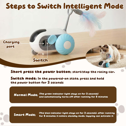 SDWUBQ Interactive cat Toy, Rechargeable, Automatic Moving Kitten Toy