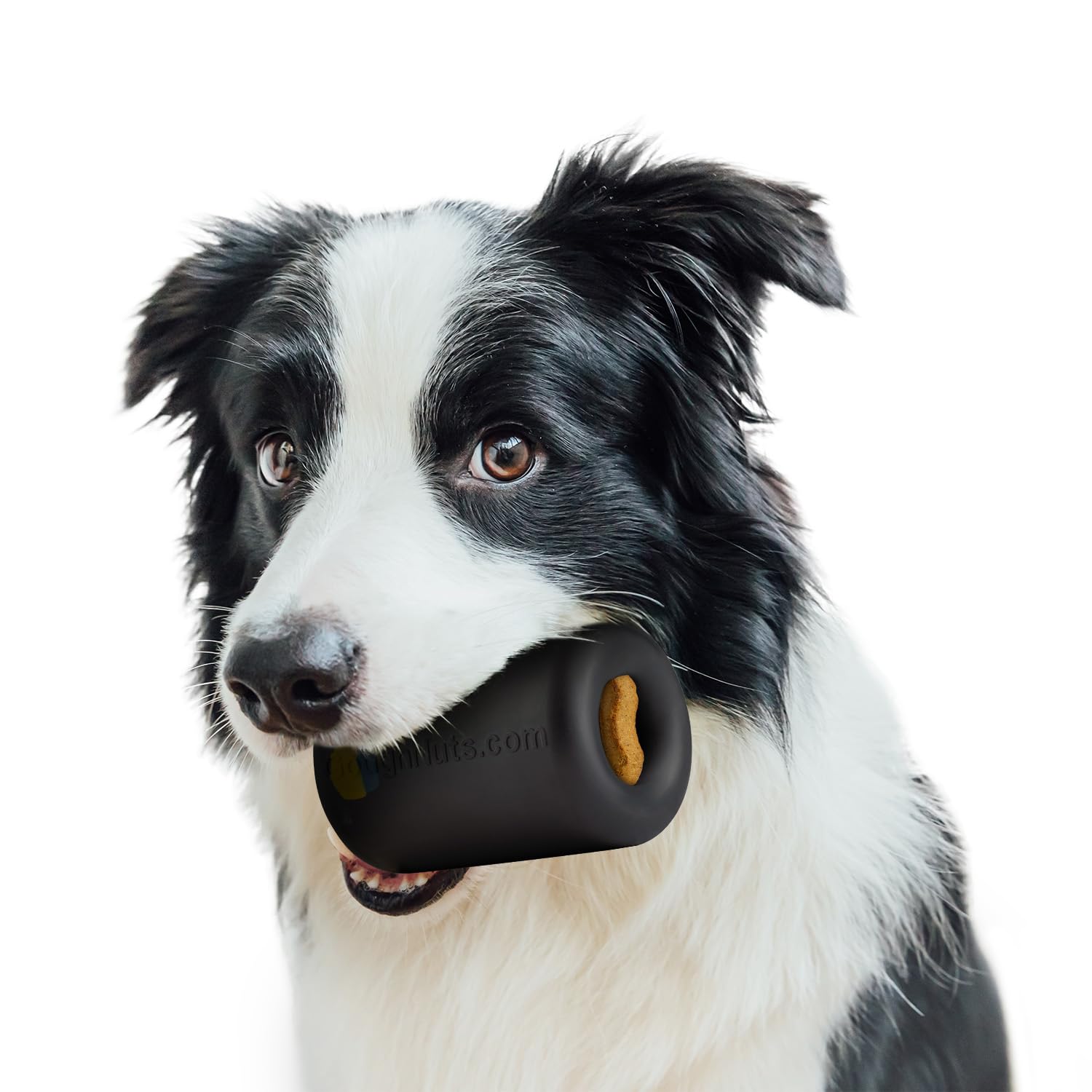 Goughnuts Work to Eat Dog Treat Toy Virtually Indestructible Feeder