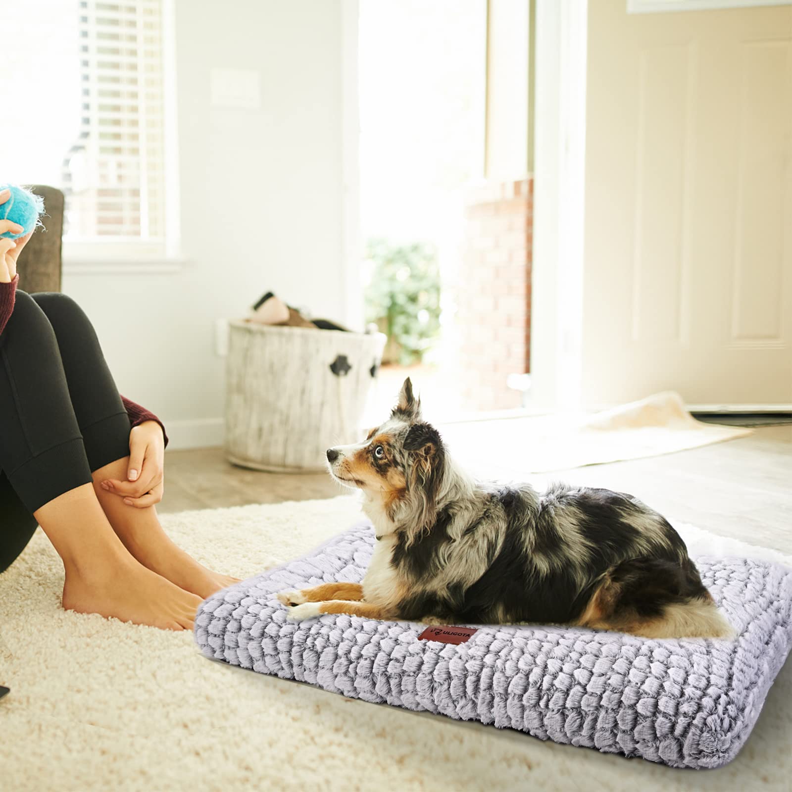 ULIGOTA Dog Bed Crate Mat Plush Kennel Pad Bed