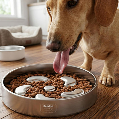 Feedoo Slow Feeder Dog Bowl-2Cups for Medium Breeds, Double Puzzle