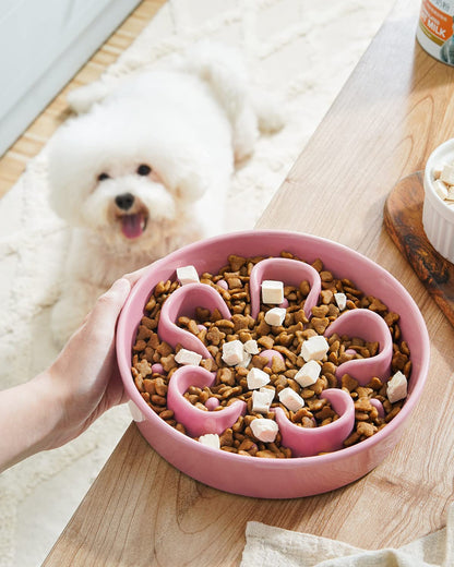 LE TAUCI Slow Feeder Dog Bowls Ceramic, 1.5 Cups Dog Food Bowl, Bowl