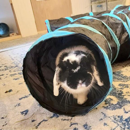 Bemodst Cat Tunnel for Indoor Cats, 5 Way Cat Tubes and Tunnels Tunnel