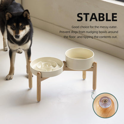 Havniva Ceramic Raised Slow Feeder Dog Bowl Set, Elevated Bowl Set