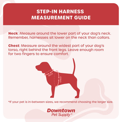 Downtown Pet Supply Step in Dog Harness for Small Dogs, Harness