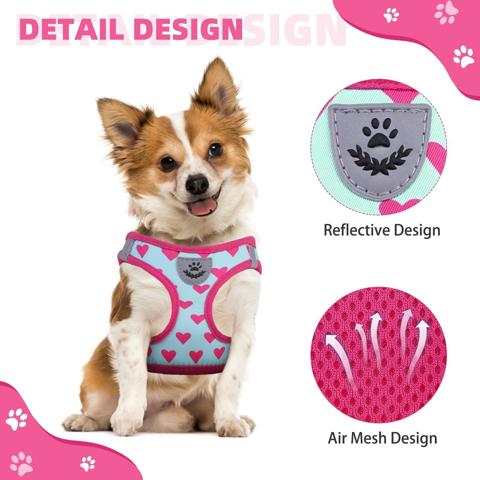 KOOLTAIL Valentines Dog Harness and Leash Set