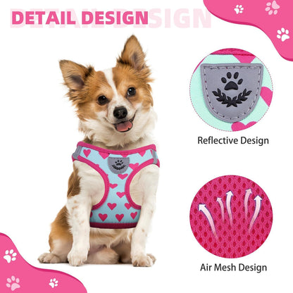 KOOLTAIL Valentines Dog Harness and Leash Set