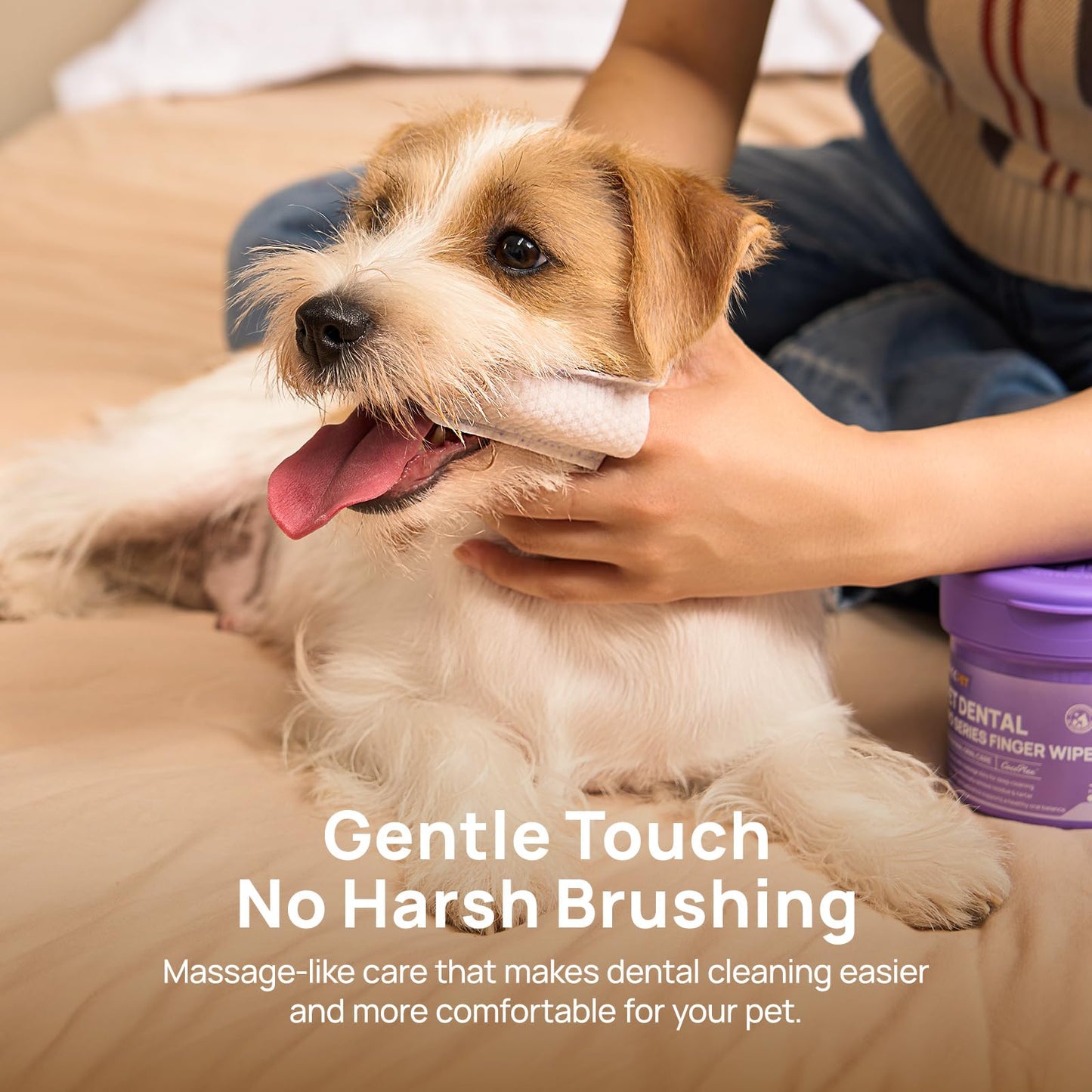 HICC PET Pro Teeth Cleaning Wipes, Vet-Recommended Dog Finger Wipes