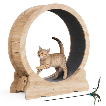 Cat Exercise Wheel, Cat Running Wheel with Smooth and Quiet Teaser