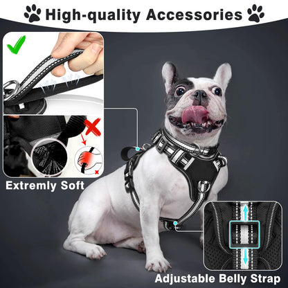 WINSEE Pet Harness Collar and Leash Set, Reflective Dog Harness Collar
