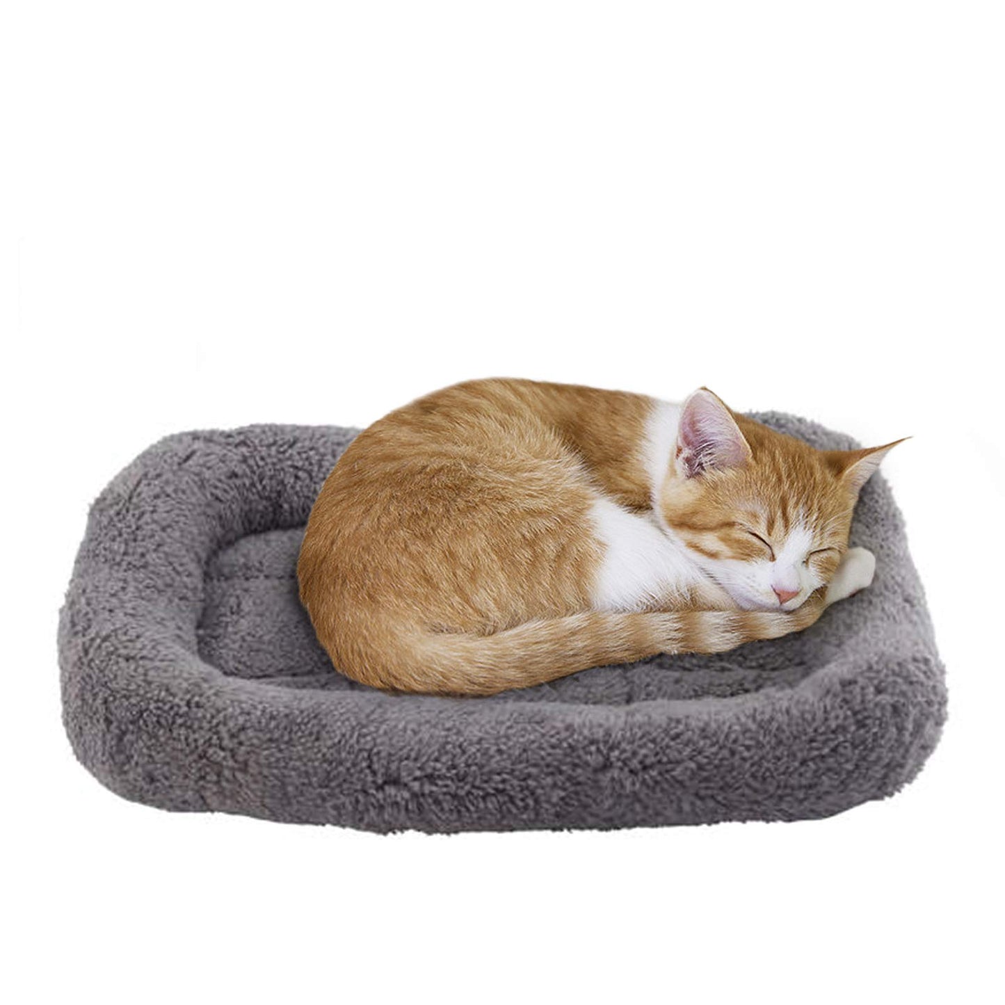 LESYPET Cat Bed for Indoor Cats, Soft Cat Cushion with Cat Pillow Bed