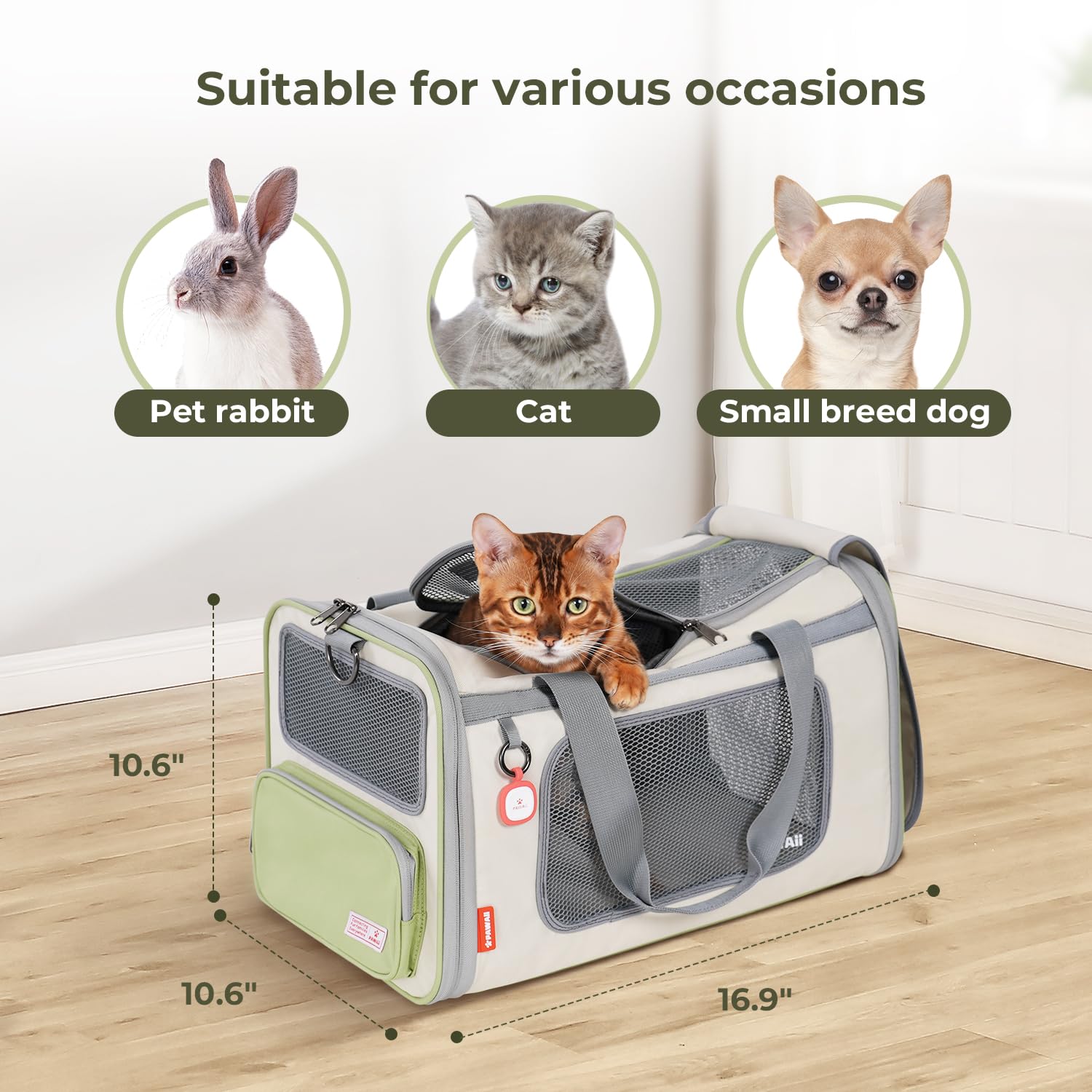 Pawaii Airline Approved Cat Carrier, Cat, Dog Carrier with ID Carrier