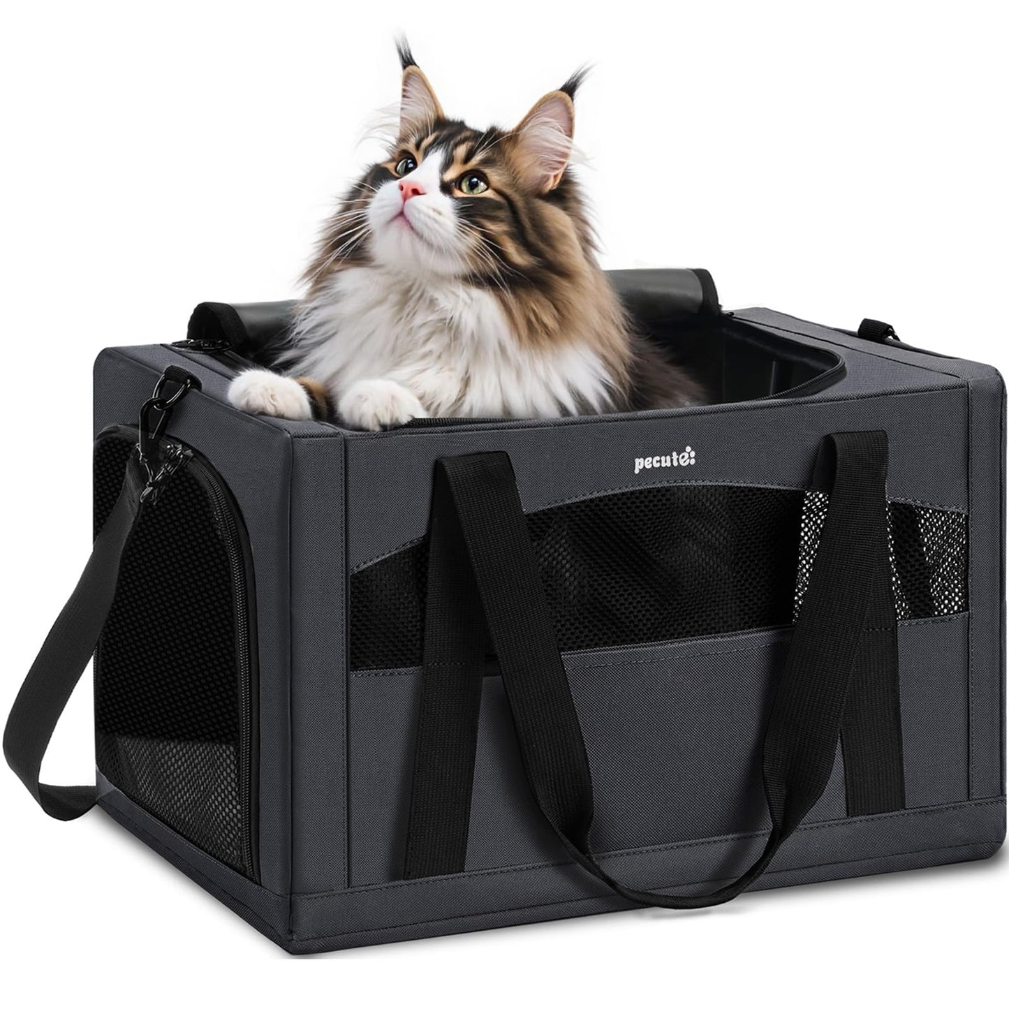 Pecute Cat Carrier Stable XL, Pet Carrier Breathable and Portable, Bag