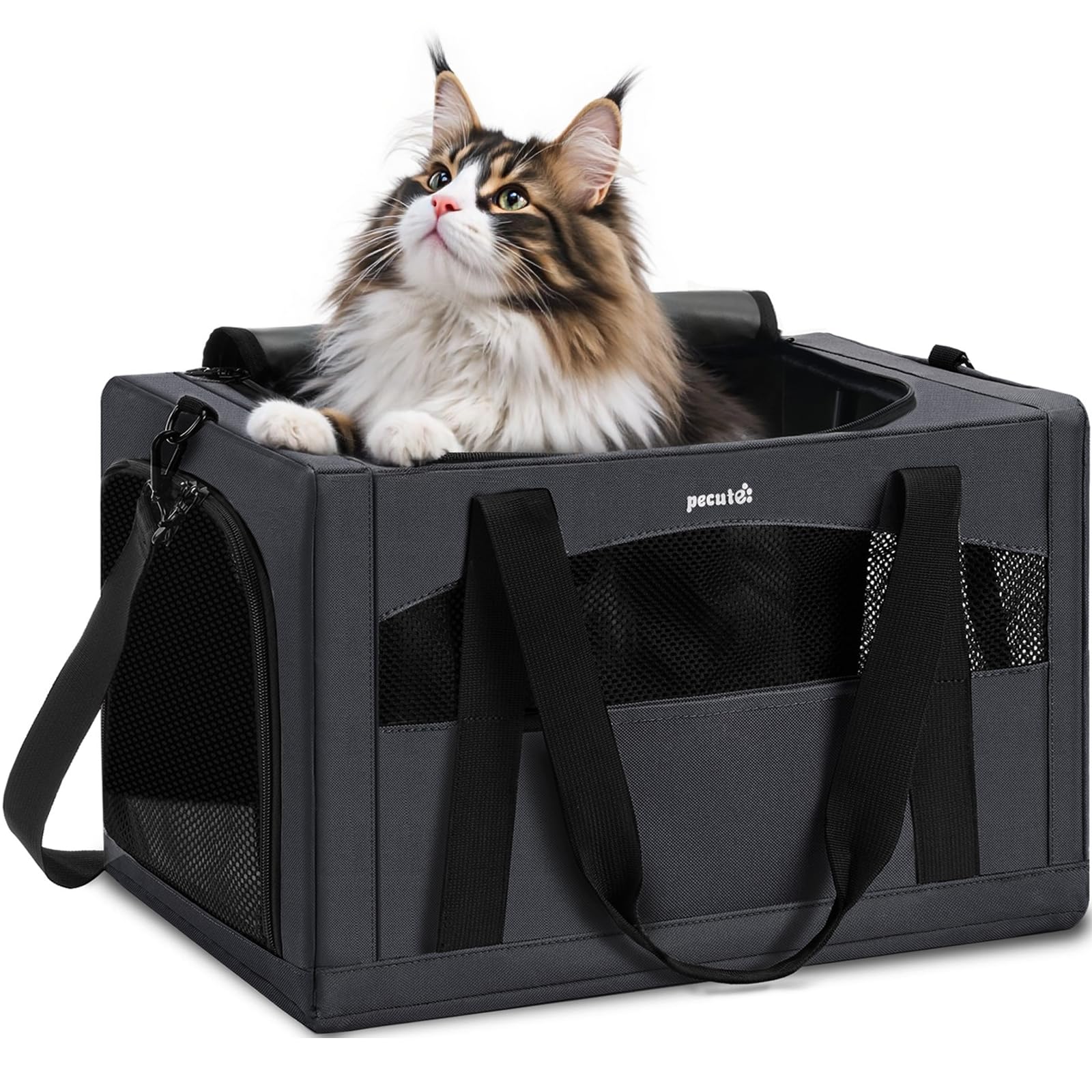 Pecute Cat Carrier Stable XL, Pet Carrier Breathable and Portable, Bag